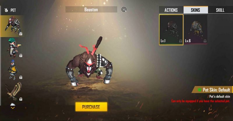 Beaston Pet